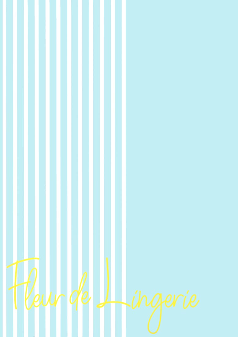 精美画集：FleurdeLingerie【画师：オムレットマト】(C100)