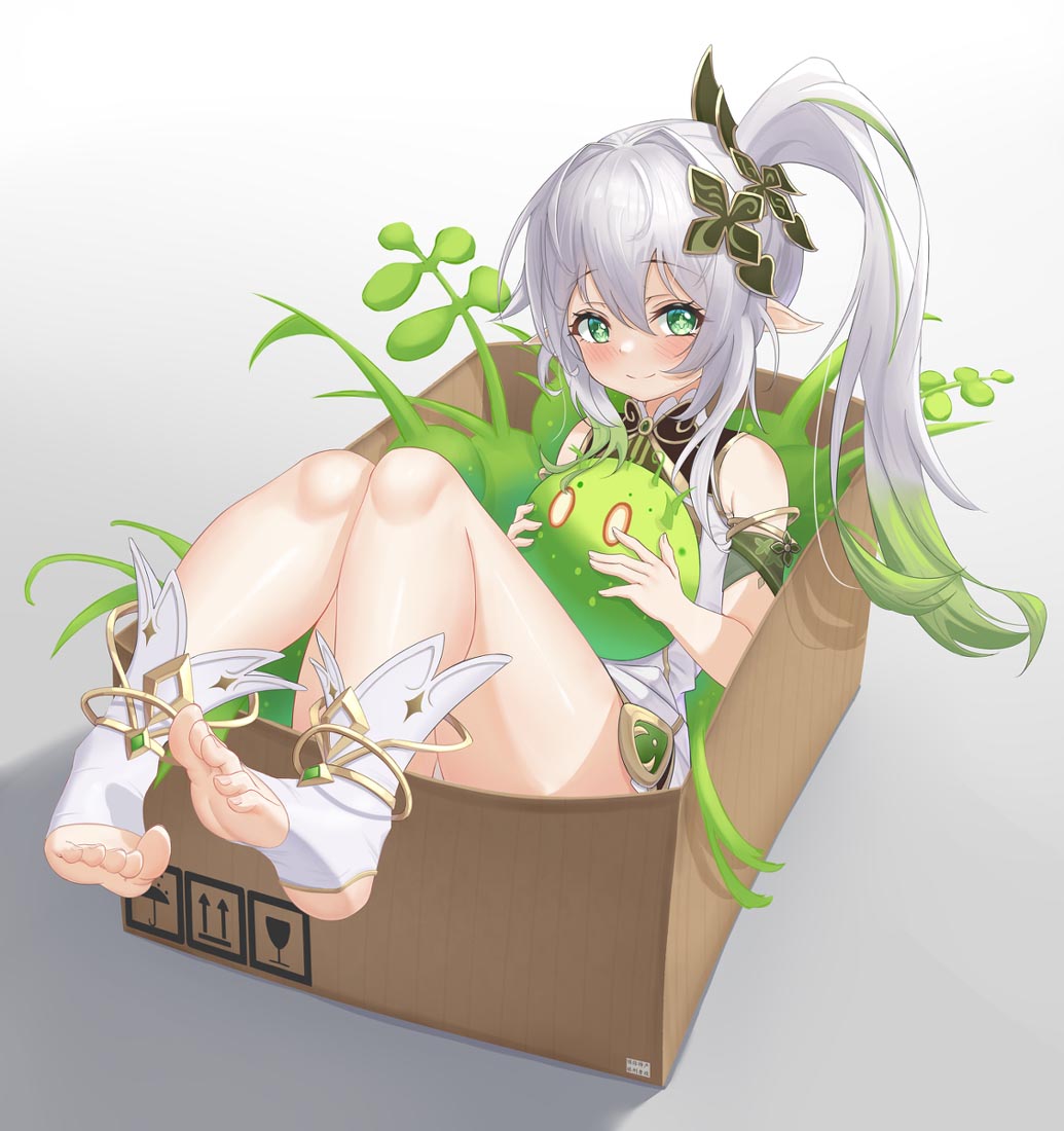 早安#P站每日好图【221113】