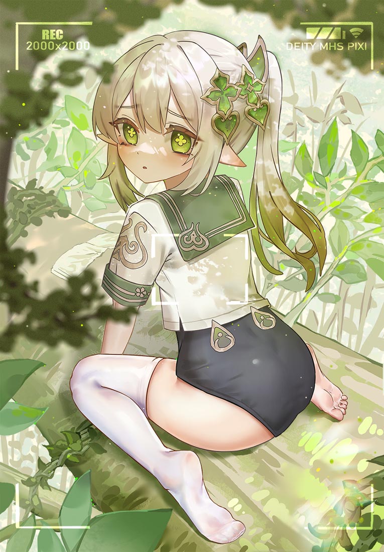 晚安#每日好图【221123】