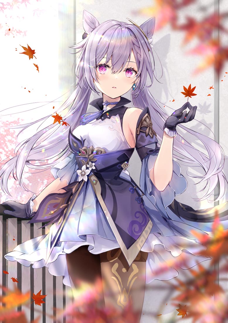 午安#每日好图~XmanTV【221202】