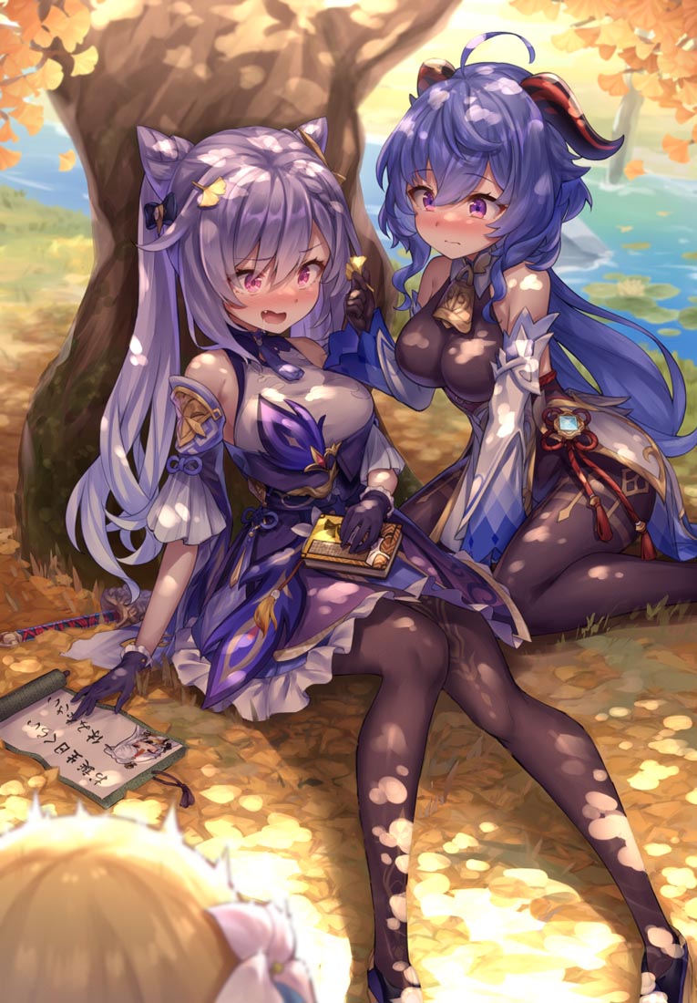 晚安#原神图【221211】