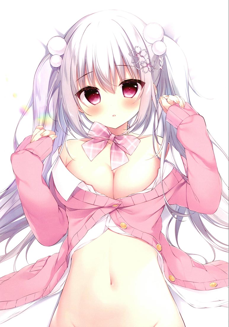 精美画集：Snow Lop【画师：白生もち】（C101）