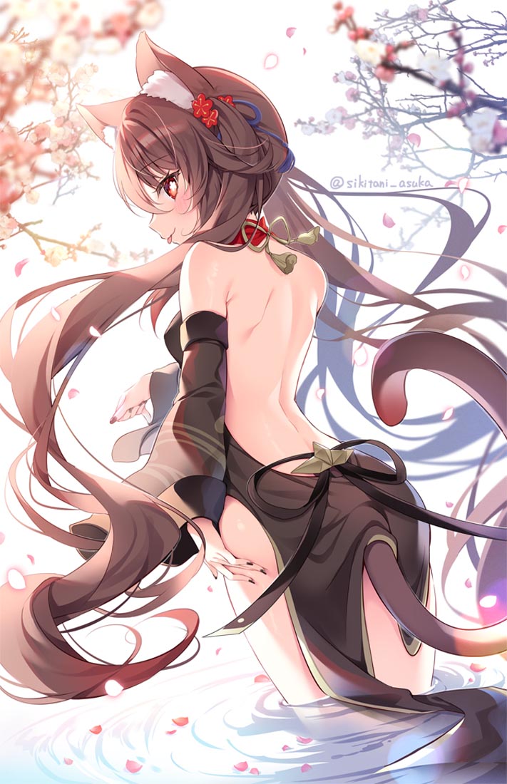 【230417】精选美图#晚安