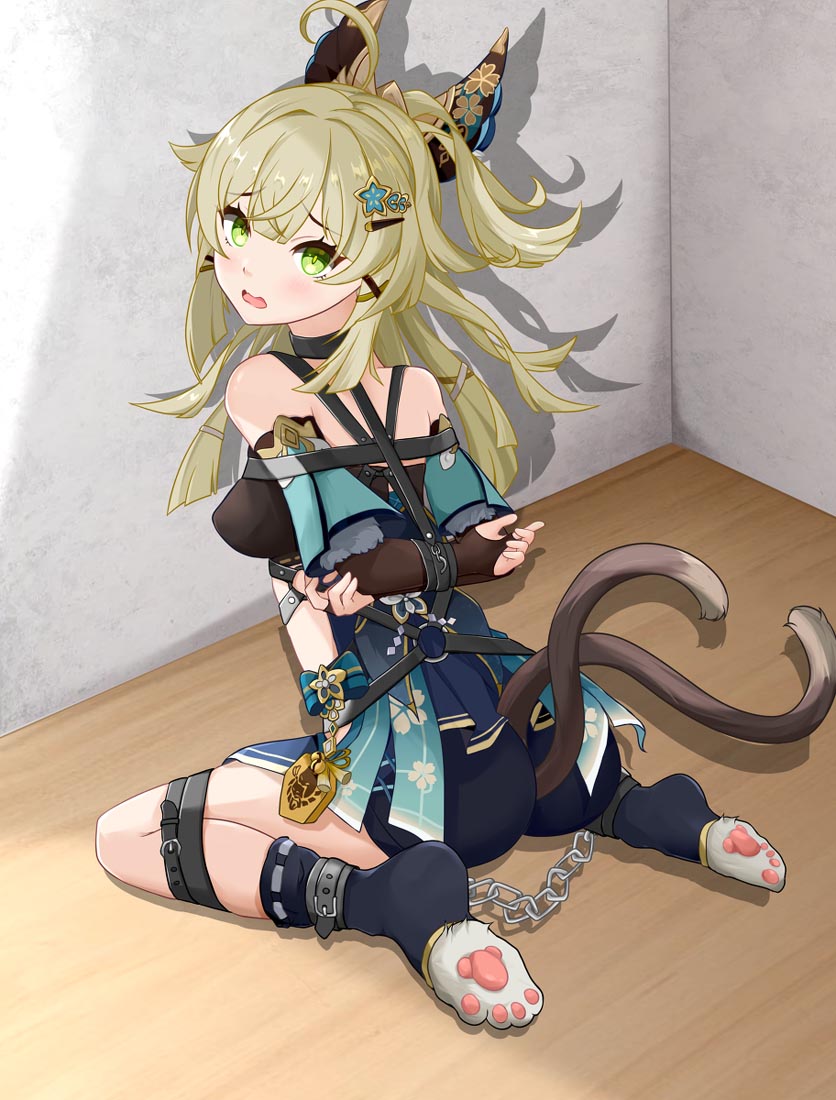 晚安#每日好图【230527】