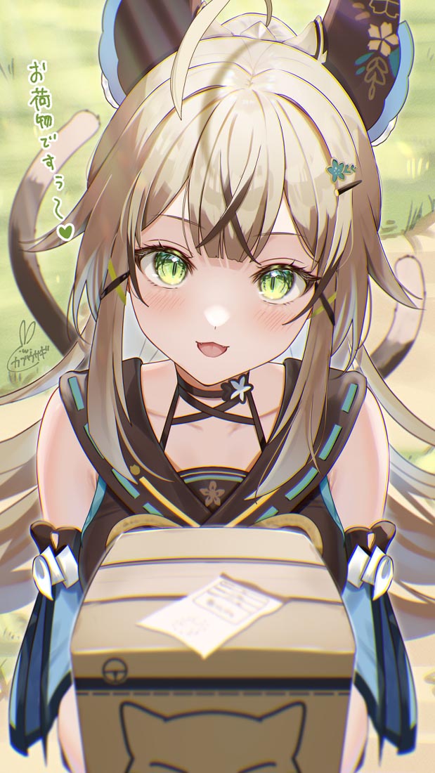 【230605】二次元福利#早安