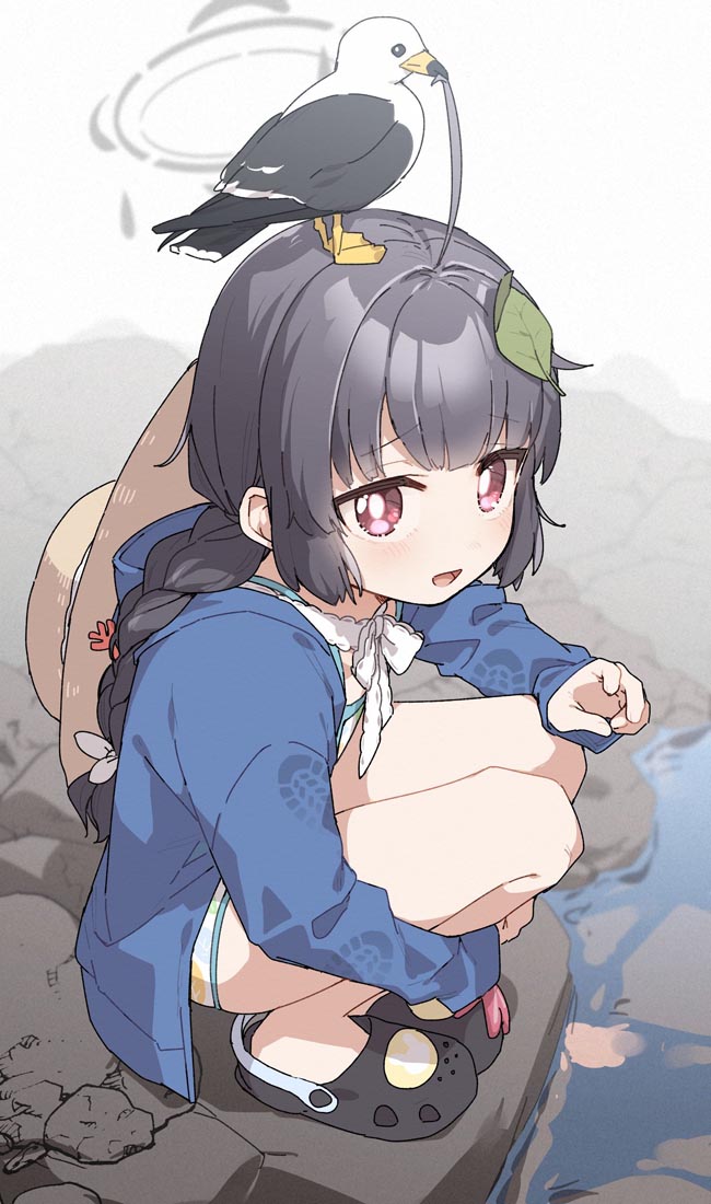 同人合集#午安【230708】