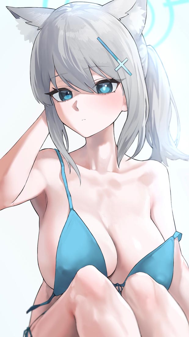 Pixiv图精选#午安【230812】