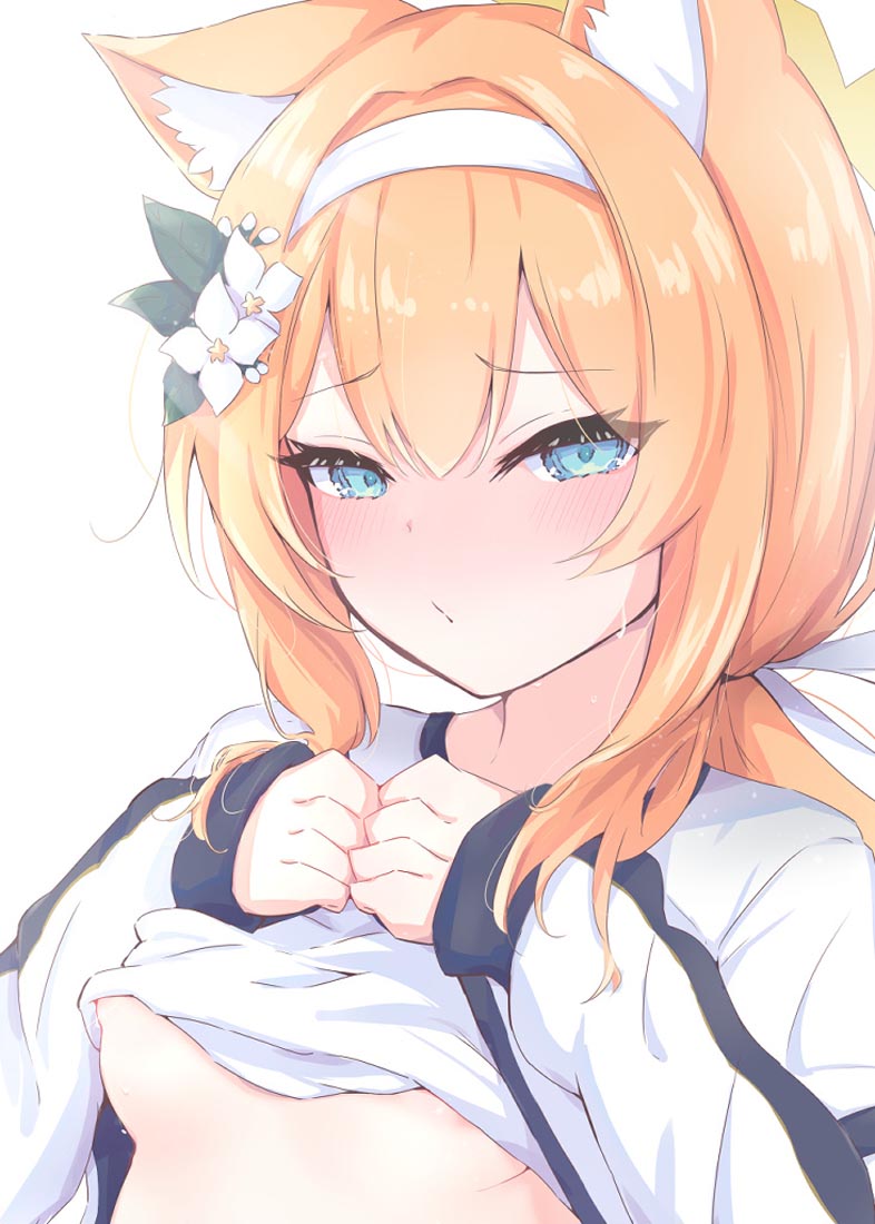 每日好图，启动！#午安【231007】