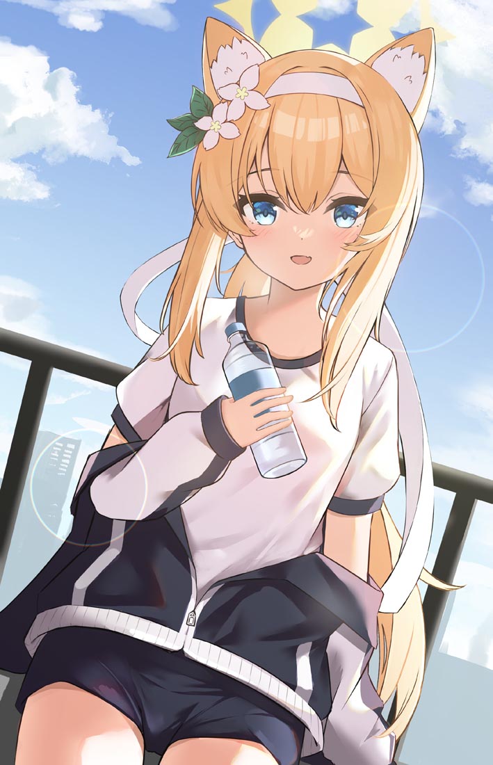 每日好图，启动！#午安【231007】