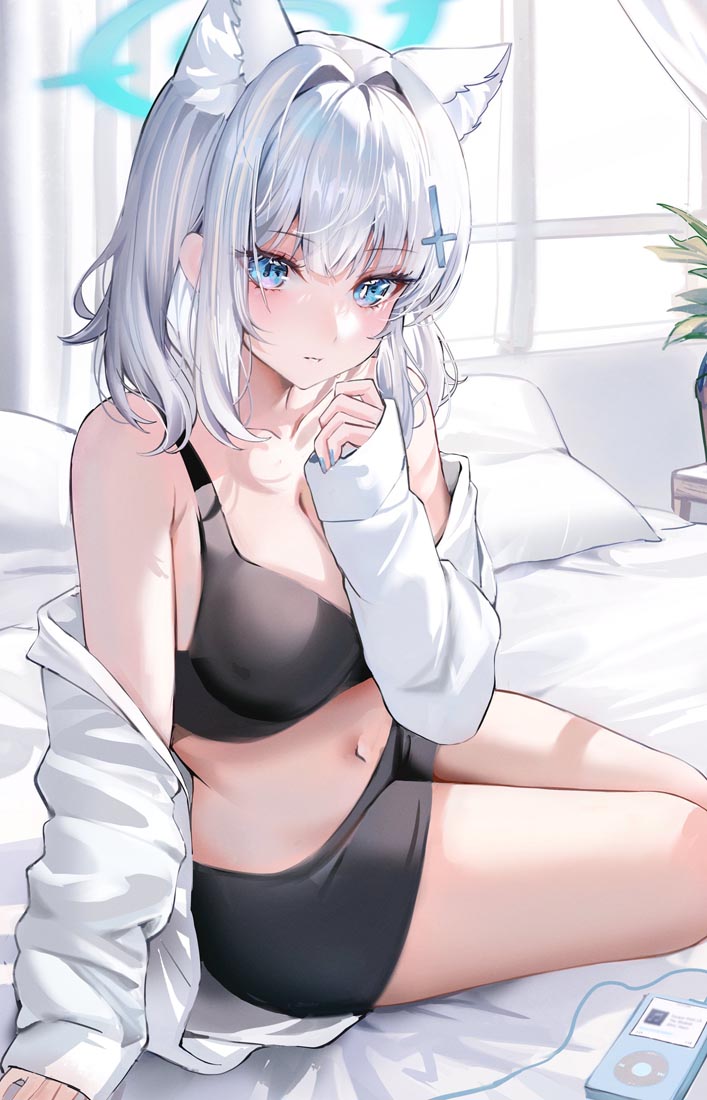 动漫精选#午安【231107】