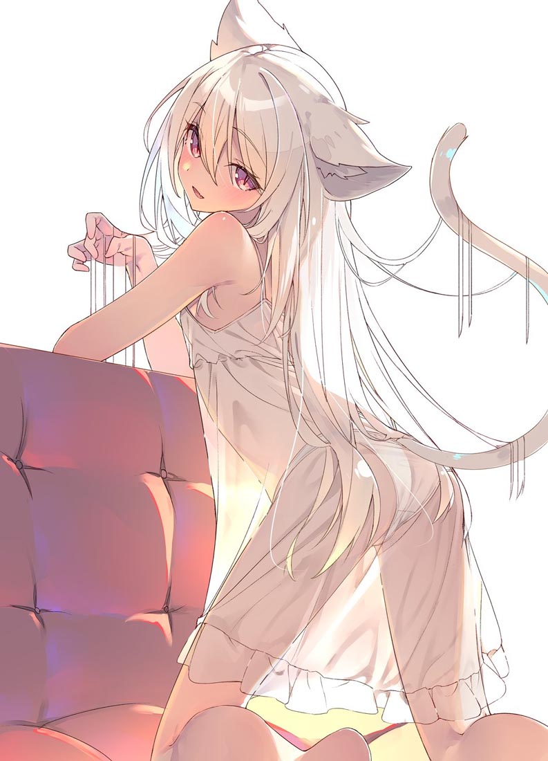 游戏美图#午安【231124】