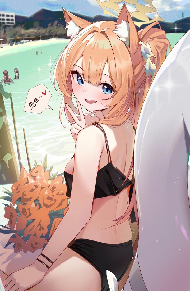 每日好图更新#午安【231217】