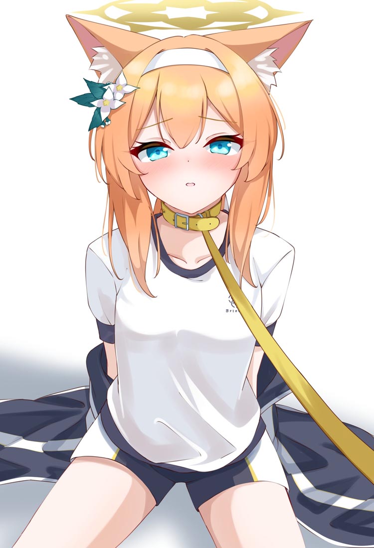 【240130】Pixiv好图#午安