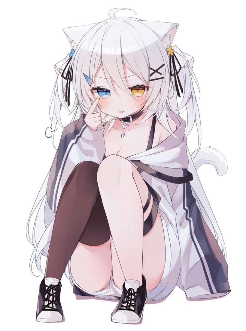 【240203】P站合集#午安