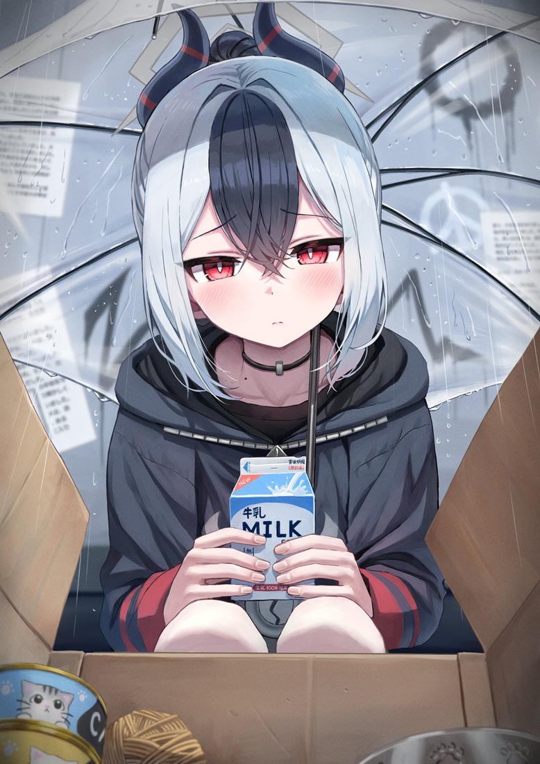 午安#二次元可爱图【240302】