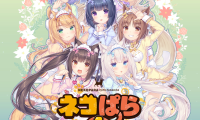 【草猫4/猫娘乐园4】《巧克力与香子兰4》将于2020年12月登陆NS、PS4平台
