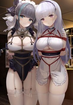 每日好图：二次元SM捆绑绳缚的艺术！