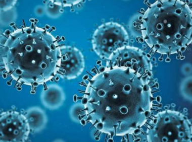 日本病毒专家神谷亘教授宣布人工合成出新冠病毒,希望研究能帮助对抗疫情