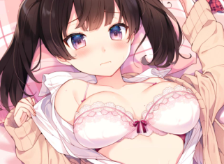 P站推荐#二次元性感内衣美图#【画师：カット】