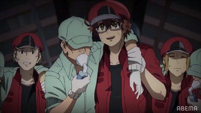 21年1月新番：《工作细胞BLACK》第二弹PV公开！