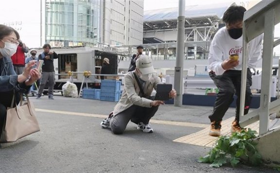 日本天桥下长出“超坚强”萝卜,结果惨遭拔走