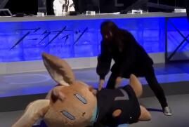 《明日方舟》日服1周年直播活动： 1/1大小  阿米娅兔子布偶  公布