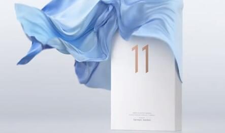 学苹果？小米11取消附送充电器