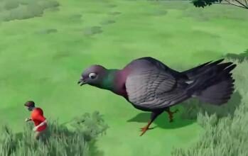 “鸽子为什么那么大”《鸽子模拟器》宣布正式重启