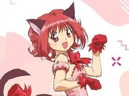 完全新作动画《东京猫猫》先导视觉图公开,2022年开播