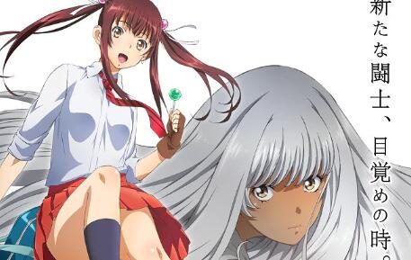 TV动画《真・一骑当千》先导视觉图公开，22年4月开播