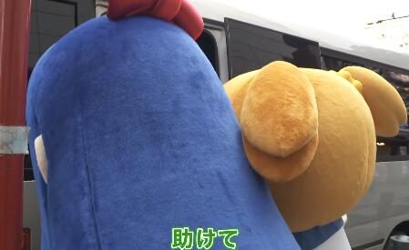 动画《pop子和pipi美的日常》中文配音版 1月31日上线B站
