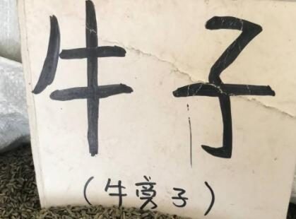 B站公布【低俗表达治理报告】 “牛子”、“烧鸡”等词汇违规