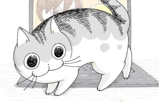 漫画《关于养猫我一直是新手》宣布动画化,2022年夏季开播
