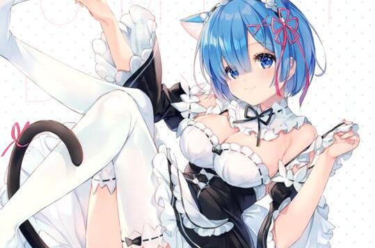 精美画集：(C99) REM BOX 【画师：eikaa】