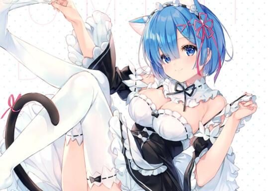 精美画集：(C99) REM BOX 【画师：eikaa】