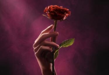 《幽游白书》真人电视剧 “藏马” 剧照公布