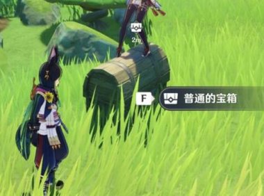 原神3.0攻略:须弥 双人联机 隐藏宝箱!!