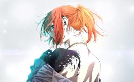 TV动画《魔法使的新娘》第2季先导PV公开，23年4月开播