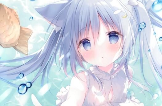 精美画集：Étoile 11（C100）