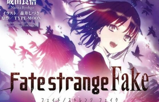 成田良悟小说改编TV动画《Fate/strange Fake》预告PV公开,12月开播