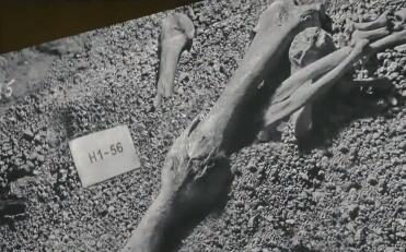 《流浪地球2》最新预告片“人类股骨”公开，1月22日大年初一上映