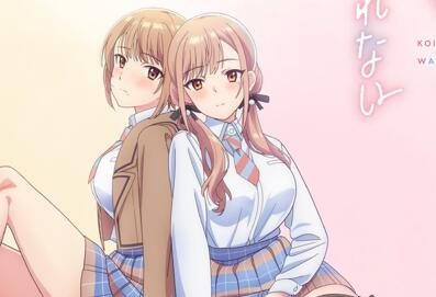 轻小说《恋爱无法用双子除尽》宣布动画化，先导视觉图公开