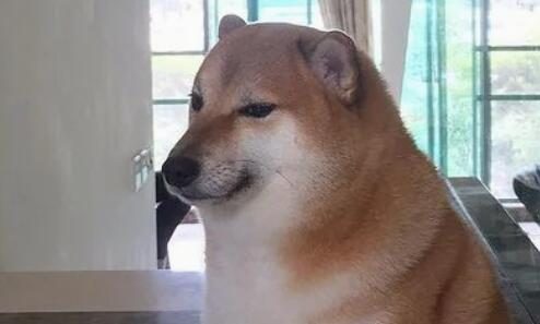 表情包网红小狗 Cheems 于8月18日去世