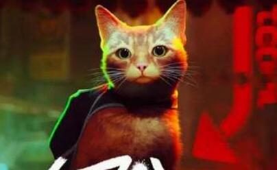 “猫咪模拟器”《迷失 Stray》确认改编为动画电影